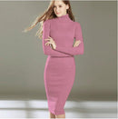 New Autumn Winter Women Knitted Dress Turtleneck Sweater Dresses Lady Slim Bodycon Long Sleeve Bottoming Dress Vestidos PP003