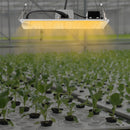 220W LED Grow Light Growing Lamp Commercial Indoor Plant Full Spectrum For Greenhouse Flower Plants Veg Dimmable