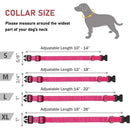 Reflektierendes Hundehalsband mit verstellbarem Sicherheits-Nylonband und Leine, geeignet für kleine und mittelgroße Haustiere