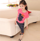 45563983757535|45563983855839|45563984019679|45563984085215|45563984150751