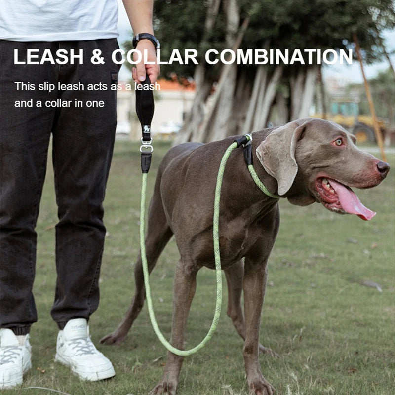 Truelove Pet Training Leash and Collar Durable Slip Lead Dog Leash Heavy Duty Comfortable Strong Rope Leash No Pull Pet TLL2575