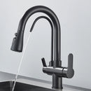 Quyanre Matte Black Filtered Crane For Kitchen Pull Out Spray 360 Rotation Water Filter Tap Three Ways Sink Mixer Kitchen Faucet