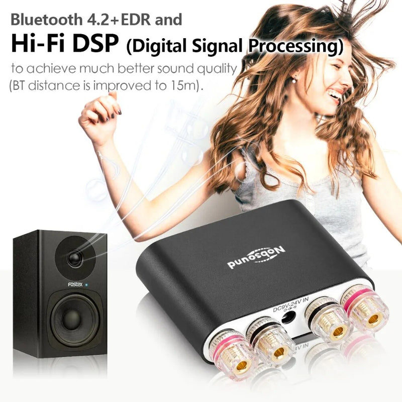 Douk audio Hi-Fi TPA3221 Digital Amplifiers Stereo Mini DSP Bluetooth 5.0 Home Audio Desktop Power Amplifier 100W*2