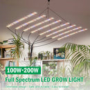 Vollspektrum-LED-Pflanzenlampe 100W 200W AC100-277V LM281B für Gemüse, Blumen, Gewächshäuser, Pflanzzelt, Wachstumslampe