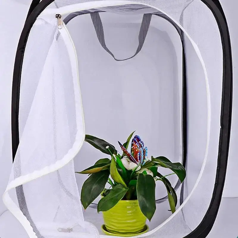 New Butterfly Habitat Insect Cage Mesh Cages Pop-up Collapsible Plant Greenhouse Box Net Cloth