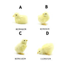 Simulation Chick Decor Plush Chicken Model Figurine Cute Oranment Realistic Furry Animal Doll Chicken Easter Gift Kids