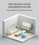 Portable Dehumidifier With 35 Ounces Capacity, Silent Operation, With Romantic Colorful Lights, Timer Switch
