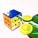 Cyclone Boys Plating 3x3x3 4x4 2x2 Magnetic Magic Cube Toys 3x3 Professional Speed Puzzle Accessories 3×3 4×4 2×2 Cubo Magico