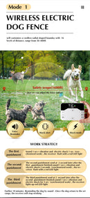 The Boundary Keeper | Intelligent Wireless Pet Containment System for Up to 3 Dogs