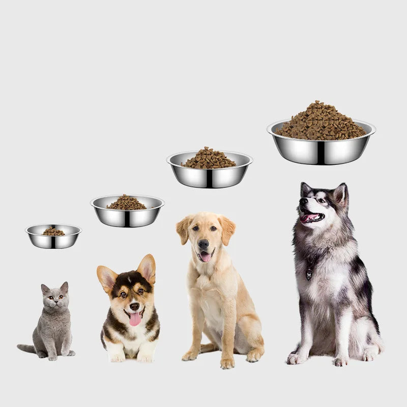 Quality Paw Stainless Steel Pet Dog Bowl Feeder Skidproof Anti-ant Shape Cat Dog Bowls Food Accessories Pet Supplies 2 Sizes