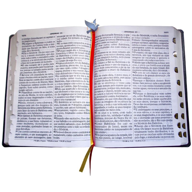 Holy Bible Lt Extragigant ARC Black Lateral Index