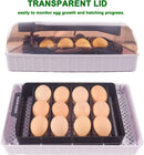 The Genesis Chamber | 12-Egg Digital Incubator with Intelligent Auto-Turning