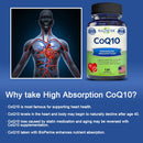 Organic Ultra High Absorption COQ10 Coenzyme Q10 Vascular and Heart Health Blood Pressure Balance Support Energy Brain Function