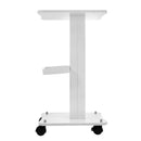 Multifunctional Beauty Cart – High-Quality Wood & Metal, Silent Universal Wheels, 88.18 lbs Capacity, Ideal for Salons & Spas