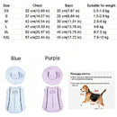 The Canopy Walker | Lightweight Canine Cooling Vest with Integrated Sun Cap