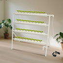 Bymaocar Hydroponic Site Grow Kit 36 Holes 4 Tubes Earthless Plant Growing Systems Flow Deep Water Culture Garden with Pump