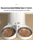 ROJECO Smart Nourish | 4L Intelligent App-Controlled Pet Feeder