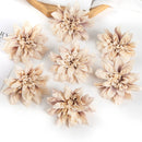 44572422996191|44572423028959