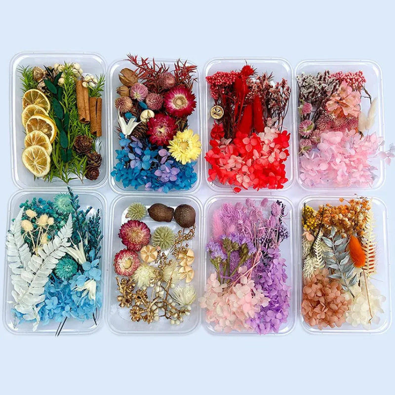1Box Dried Flowers Dry Plants for Epoxy Resin Casting Mold DIY Aromatherapy Candle Molds Crafts Tools Jewelry Making Accessories