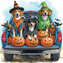 5D DIY Partial Special Shaped Drill Diamond Painting Kit Animal Halloween Decoration Christmas DIY Painting Decor 30/40X40/30CM