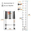 The Skyline Reach | Stainless Steel Telescopic Ladder, 150 kg Rated