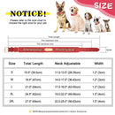 Personalized Dog Collar Durable Leather Dogs ID Collars With Anti-lost Name Tag Chain Accessories for Small Medium Large Dogs