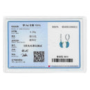 New 925 Silver Color Earrings Butterfly Firefly Ladybird Cactus Chameleon Star Double Hoop Earrings Fashion Party Unique Jewelry