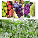 100/50Pcs Garden Fruit Protection Bags Non-woven Fabric Grape Protection Bags Anti-bird Insect Barrier Pouch for Apple Vegetable
