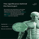 99 Gear 8 Head Massage Machine Fascia Muscle Massager Gun Electric Body Massager Neck And Back Massage Fitness Massage Gun