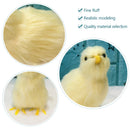 Simulation Chick Decor Plush Chicken Model Figurine Cute Oranment Realistic Furry Animal Doll Chicken Easter Gift Kids