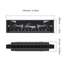 10 Hole 20 Tone Stainless Steel Cover Harmonica C Key Educational Music Harmonica for Beginners/Students/ Teaching/Friends Gift