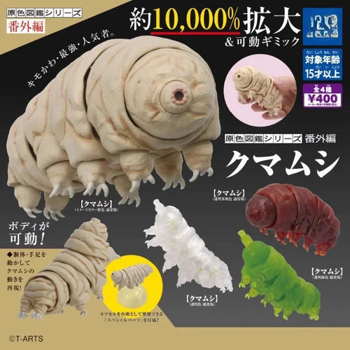 Japan Original Kawaii Gashapon Figur Anime Wasserbär Figur Tardigrade Süße Kapsel Spielzeug Miniatur Puppe Deko Geschenk
