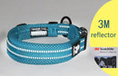 The Truelove | Adjustable Mesh Padded Reflective Dog Collar