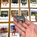 24Pcs/Set Montessori Toys for 3 Year Flash Cards Animals Matching Learning English Kids Early Educational Practical Life