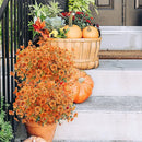 Artificial Fall Shrub Plants Flowers Outdoor Garden Decoration Plastic Bouquet Thanksgiving Christmas Wedding Home Decor Flowers