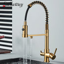 The Two Streams | Brass Kitchen Faucet with Dedicated Filter Tap and 360 Degree Pull-Down Spout