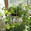1pc Unique Handcrafted Bohemian-Inspired Hanging Disco Mirror Ball Planter - Self-Watering, Space-Saving, Stylish Home Decor for
