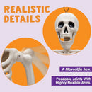 The Bone Chorus | Five-Piece Posable Skeleton Prop Set, 16-Inch