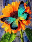 HUACAN 5D Diamantmalerei Neuheiten Tier Diamant Stickerei Kreuzstich Schmetterling Strasssteine Vollmosaik Heimdekor