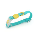 Transparent Buckle Collar Candy Color Pet Cat Dog Collars Leashes For Small Medium Dogs