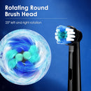 The Lumina | Sonic Rechargeable Electric Toothbrush