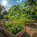 U-Shaped Metal Tall Garden Plant Trellis Grow Support Frame for Climbing Plants Vegetables