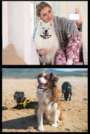 The Boundary Keeper | Intelligent Wireless Pet Containment System for Up to 3 Dogs