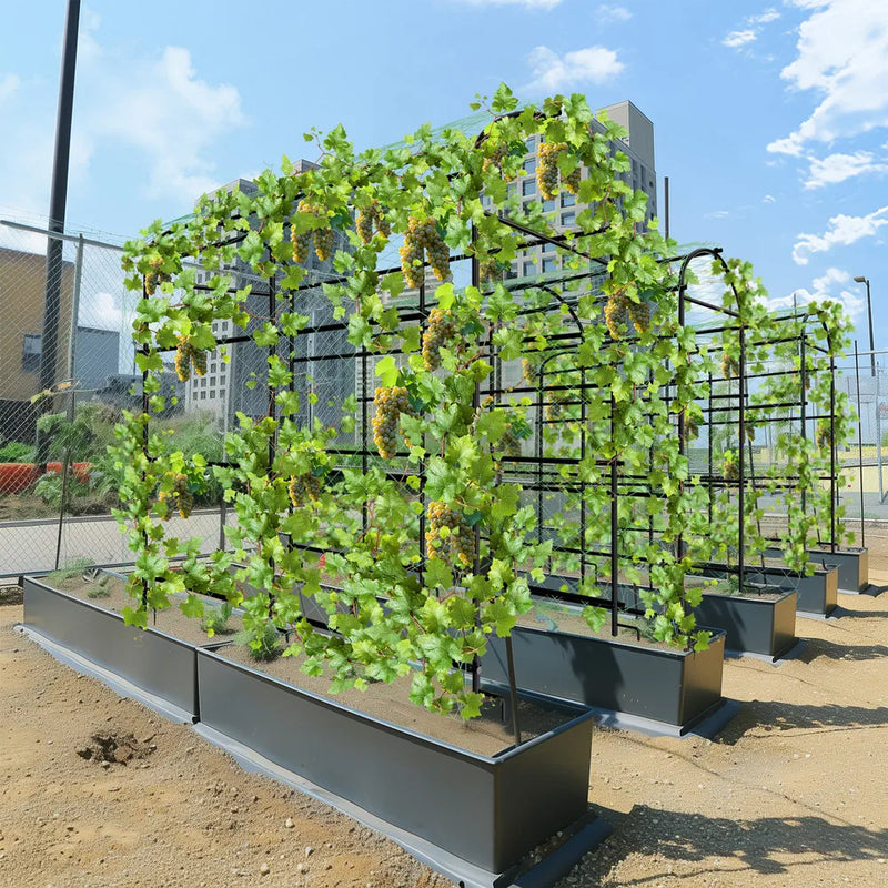 U-Shaped Metal Tall Garden Plant Trellis Grow Support Frame for Climbing Plants Vegetables
