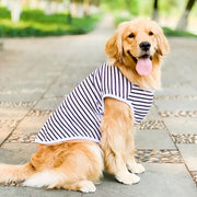 Summer Big Dog Clothing Large Dog T-shirt Welsh Corgi Samoyed Husky Labrador Golden Retriever Dobermann Dog Clothes Tee Shirt