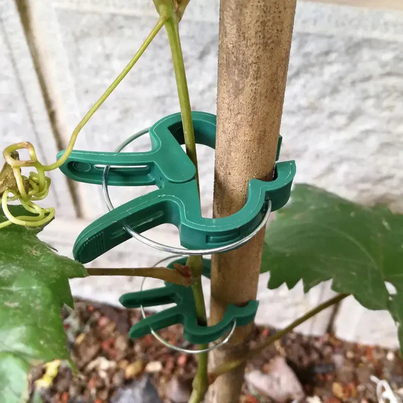 10/20Pcs Plant Fixed Clips Reusable Garden Greenhouse Bracket for Fixed Plants Vine Flower Seedling Tomatoes Support Plant Clips