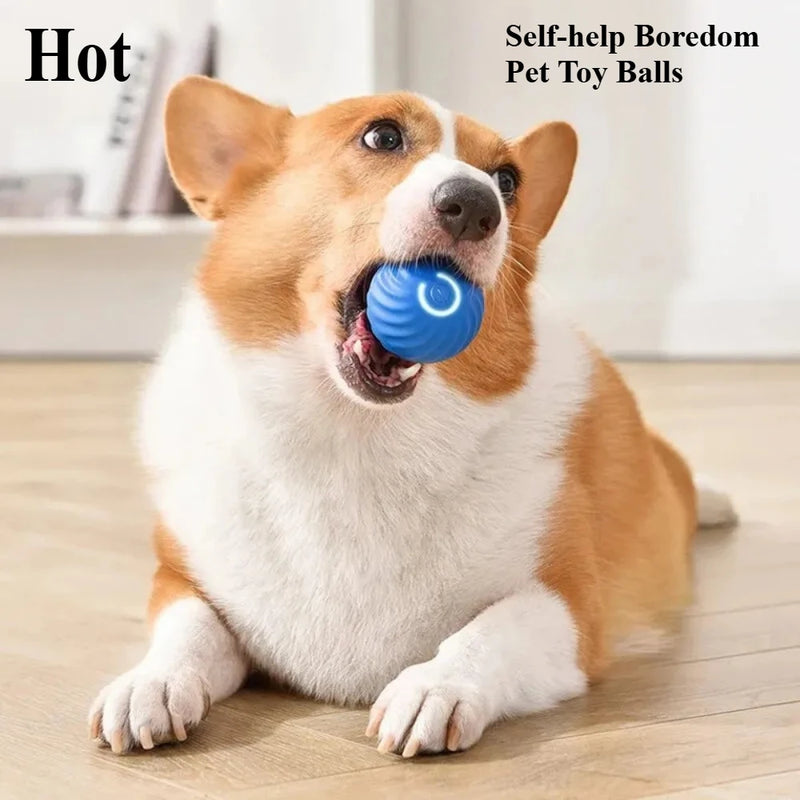 Smart Dog Toy Ball Electronic Interactive Pet Toy Activity Ball USB Automatic Moving Bouncing Puppy Birthday Gift Cats Product