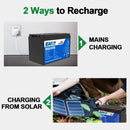 EASUN LiFePO4 Battery 12V 24V 100Ah 300Ah Lithium Iron Phosphate Battery Built-in BMS 6000+ Cyclic For Inverter Solar RV No Tax