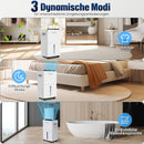 Anion Luftentfeuchter für Zuhause Schlafzimmer, leise, automatische Abtauung, Keller, Wäschetrocknung, LED-Touchscreen, Luftentfeuchter