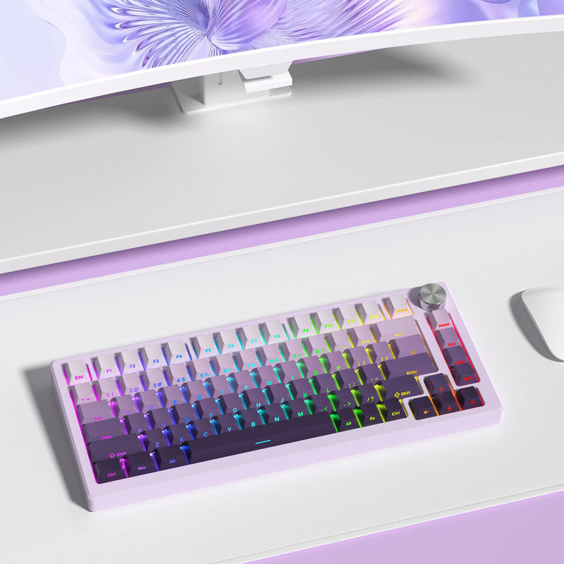 Gradient Purple Double Shot PBT Keycaps Cherry/OEM Profile 136 Keys Side Printed Keycaps for Gateron Cherry MX Switches Keyboard